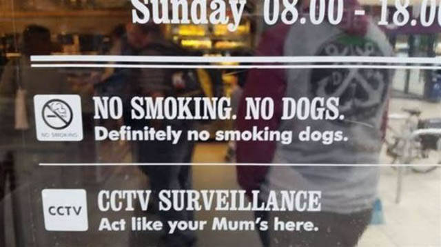 Daily Picdump [WEEKEND EDITION]