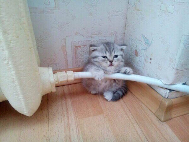 Daily Picdump [WEEKEND EDITION]