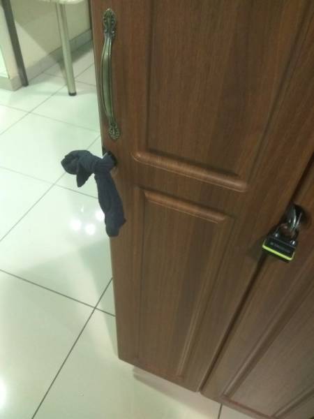 Daily Picdump [WEEKEND EDITION]