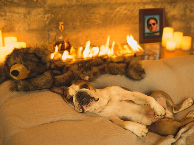 daily picdump weekend edition 55 pics 9.html - 55 HD Photos | Premium Gallery 2016