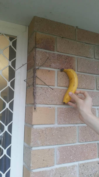 daily picdump weekend edition 55 pics 9.html - 55 HD Photos | Premium Gallery 2016