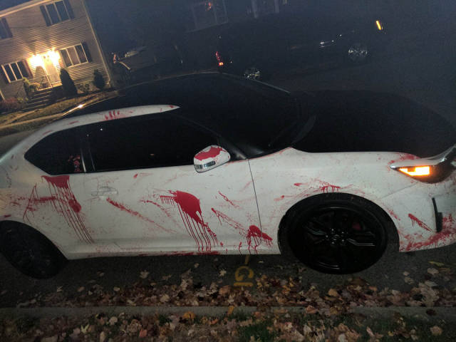 daily picdump weekend edition 55 pics 9.html - 55 HD Photos | Premium Gallery 2016