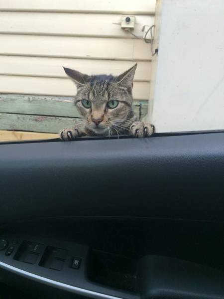 daily picdump 105 pics 10.html - 105 HD Photos | Premium Gallery 2016