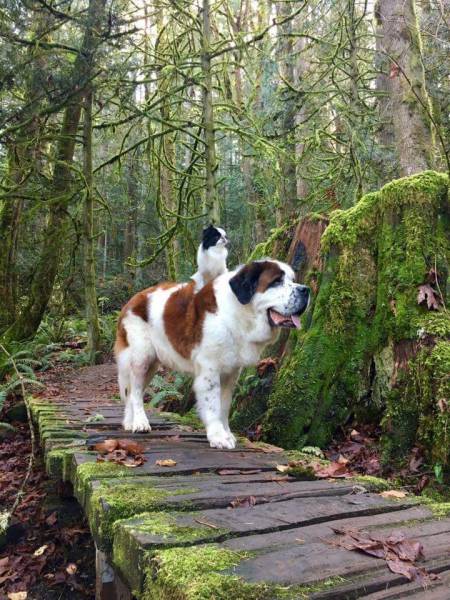 daily picdump 105 pics 10.html - 105 HD Photos | Premium Gallery 2016