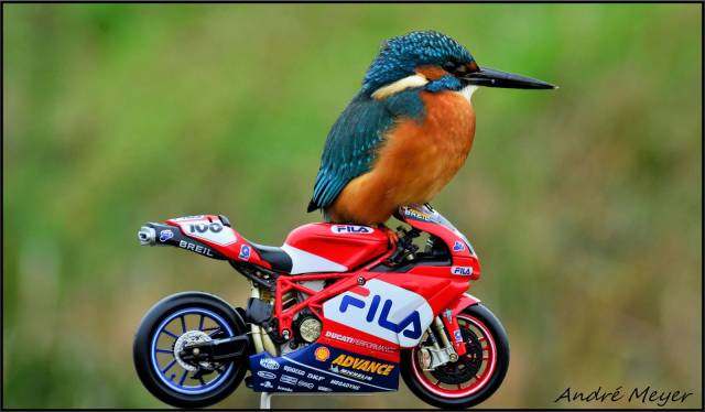 daily picdump 105 pics 10.html - 105 HD Photos | Premium Gallery 2016