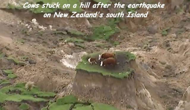 daily picdump 105 pics 10.html - 105 HD Photos | Premium Gallery 2016