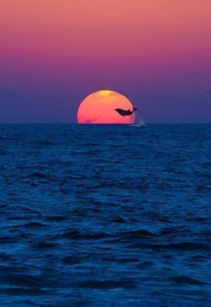 daily picdump 105 pics 10.html - 105 HD Photos | Premium Gallery 2016