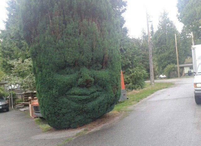 daily picdump 105 pics 10.html - 105 HD Photos | Premium Gallery 2016