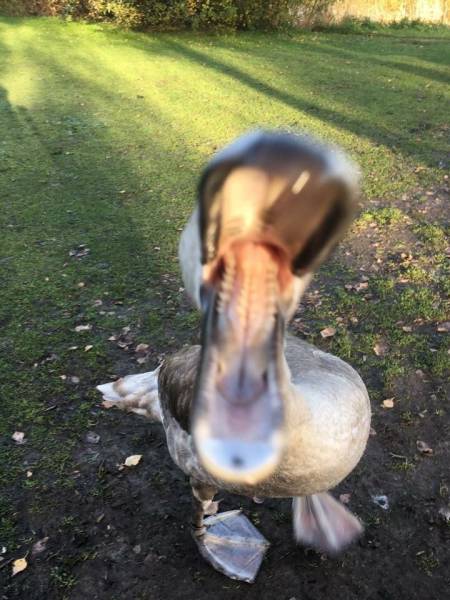 daily picdump 105 pics 10.html - 105 HD Photos | Premium Gallery 2016