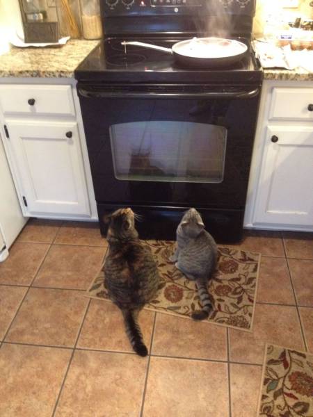 daily picdump 105 pics 10.html - 105 HD Photos | Premium Gallery 2016