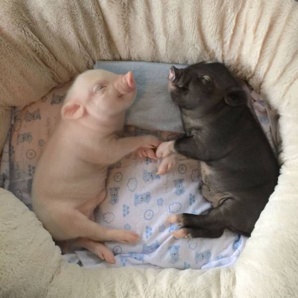 daily picdump 105 pics 10.html - 105 HD Photos | Premium Gallery 2016