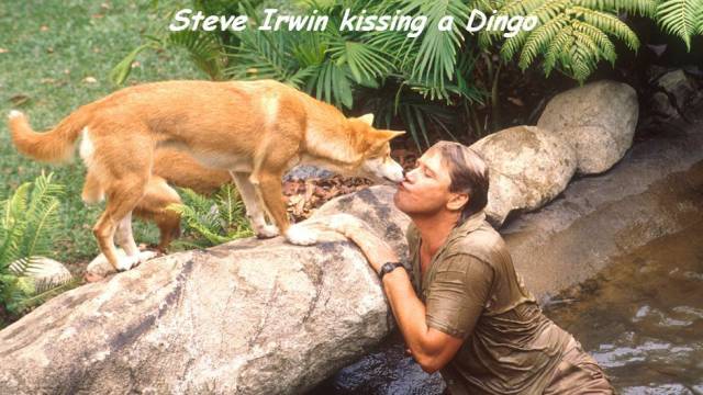 daily picdump 92 pics 3.html - 92 HD Photos | Premium Gallery 2016