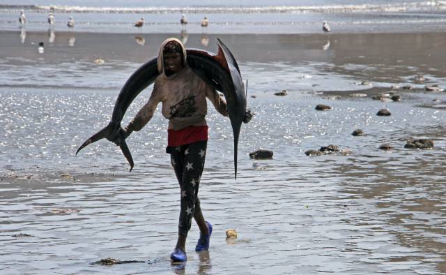 daily picdump 92 pics 3.html - 92 HD Photos | Premium Gallery 2016