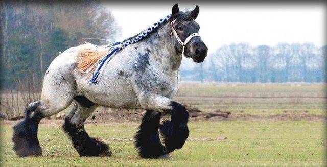 daily picdump 92 pics 3.html - 92 HD Photos | Premium Gallery 2016