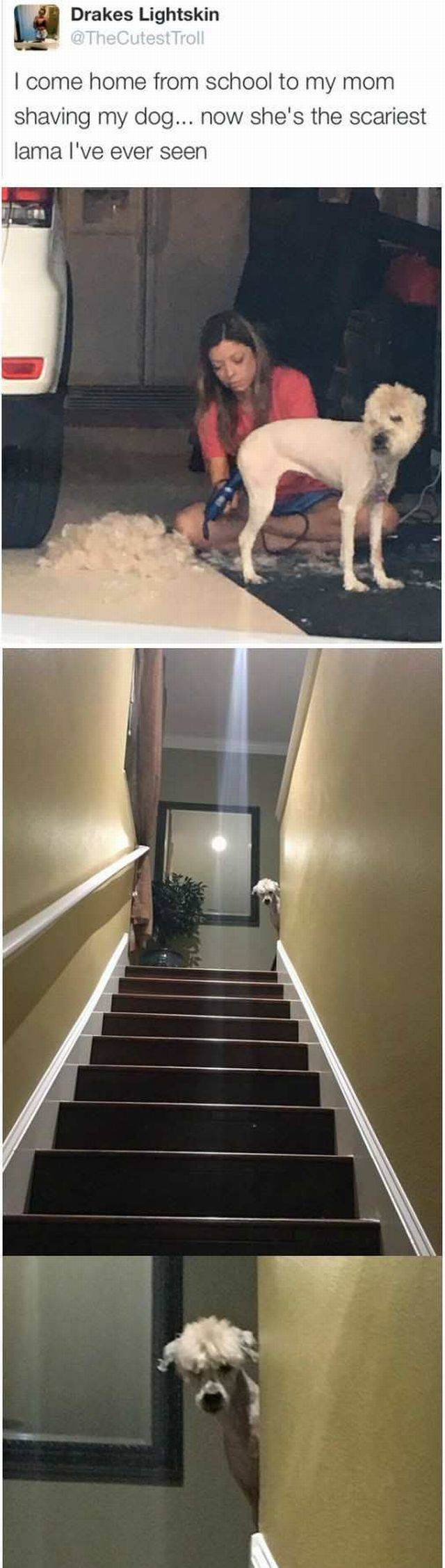 daily picdump 92 pics 3.html - 92 HD Photos | Premium Gallery 2016