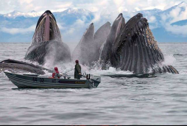 morning picdump 52 pics 9.html - 52 HD Photos | Premium Gallery 2016