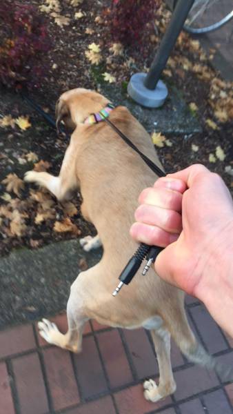 morning picdump 52 pics 9.html - 52 HD Photos | Premium Gallery 2016