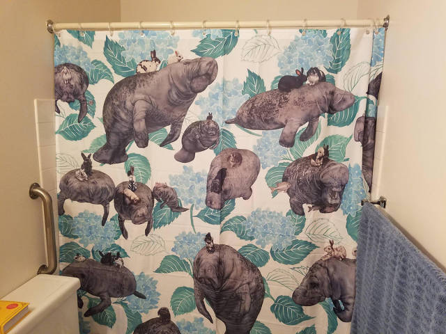 morning picdump 52 pics 9.html - 52 HD Photos | Premium Gallery 2016