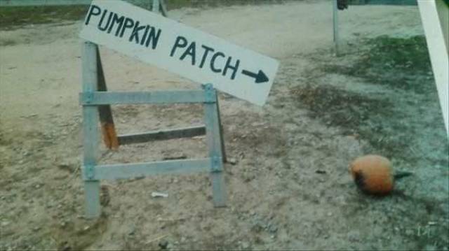 daily picdump 96 pics 25.html - 96 HD Photos | Premium Gallery 2016