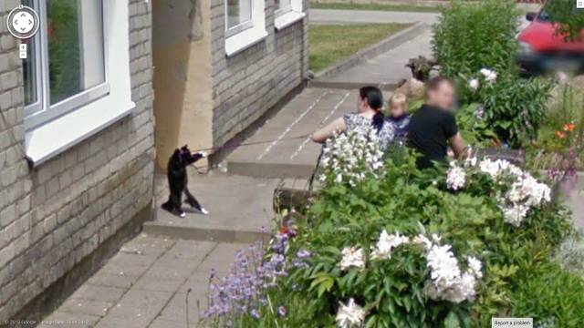 daily picdump 96 pics 25.html - 96 HD Photos | Premium Gallery 2016