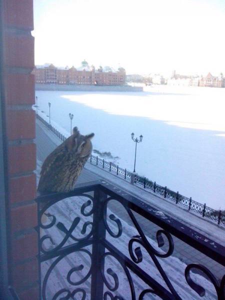 daily picdump 96 pics 25.html - 96 HD Photos | Premium Gallery 2016