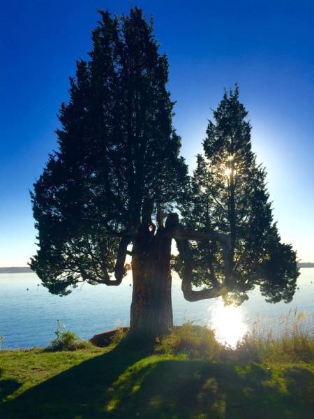 daily picdump 96 pics 25.html - 96 HD Photos | Premium Gallery 2016