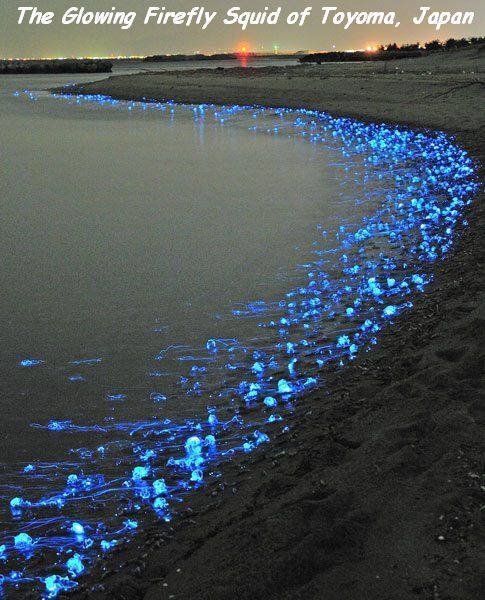 daily picdump 96 pics 25.html - 96 HD Photos | Premium Gallery 2016