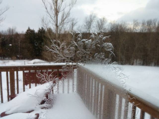 morning picdump 50 pics 18.html - 50 HD Photos | Premium Gallery 2016