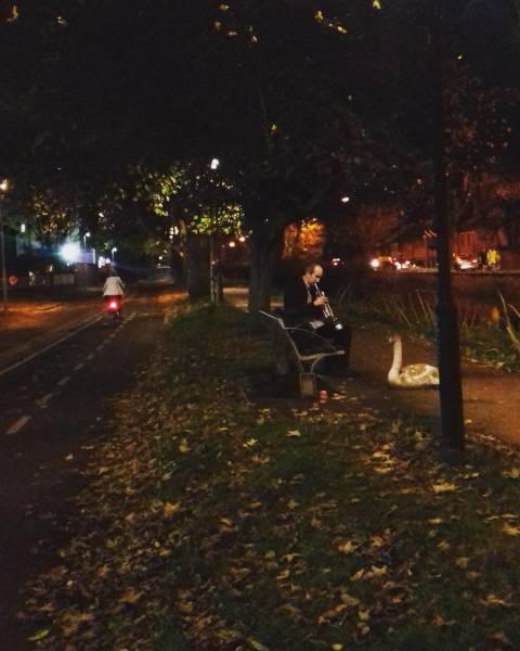 morning picdump 50 pics 18.html - 50 HD Photos | Premium Gallery 2016