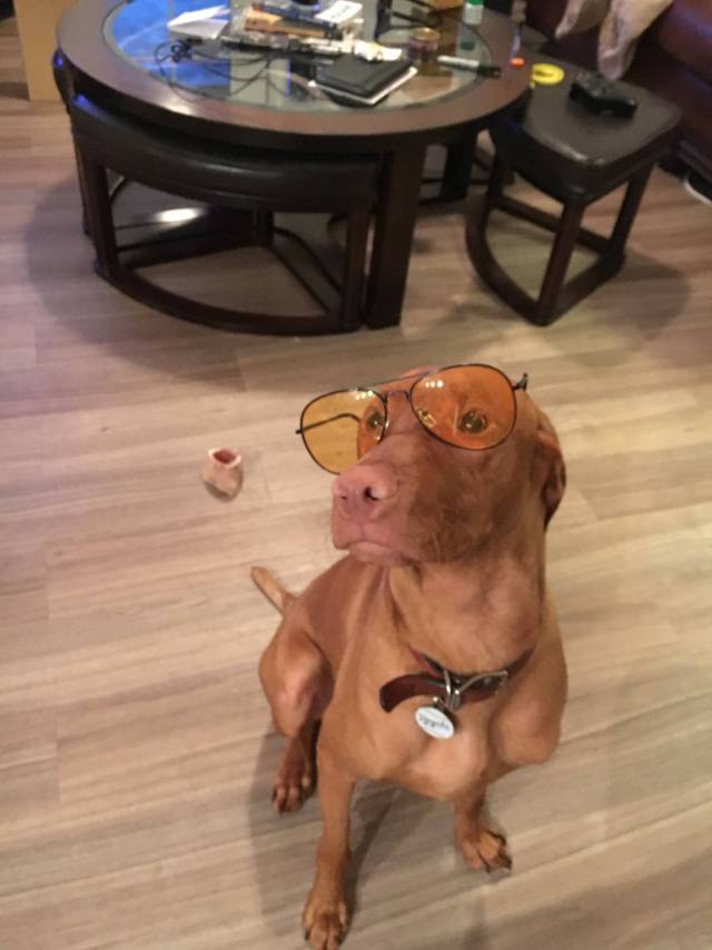 morning picdump 50 pics 18.html - 50 HD Photos | Premium Gallery 2016