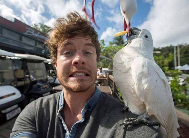 daily picdump 95 pics 9.html - 95 HD Photos | Premium Gallery 2016