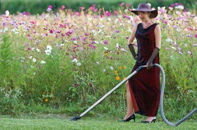 daily picdump 95 pics 9.html - 95 HD Photos | Premium Gallery 2016