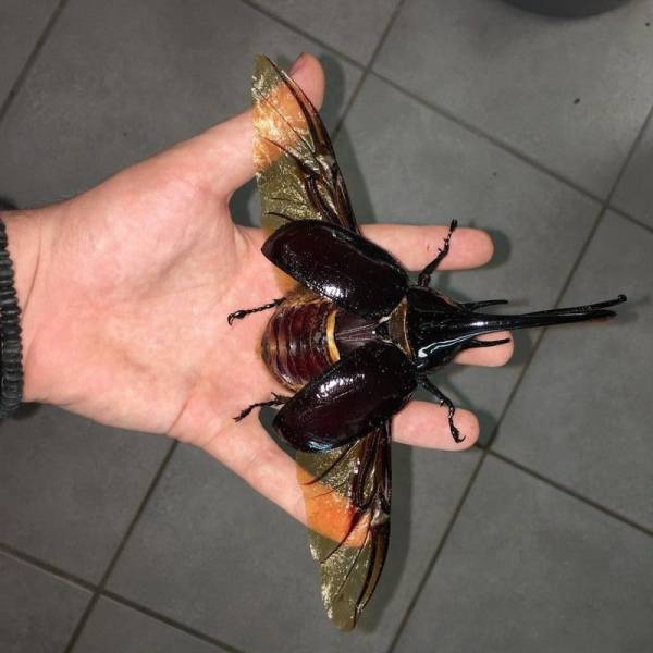 daily picdump 95 pics 9.html - 95 HD Photos | Premium Gallery 2016