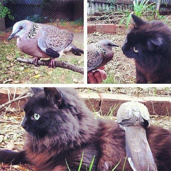 daily picdump 95 pics 9.html - 95 HD Photos | Premium Gallery 2016