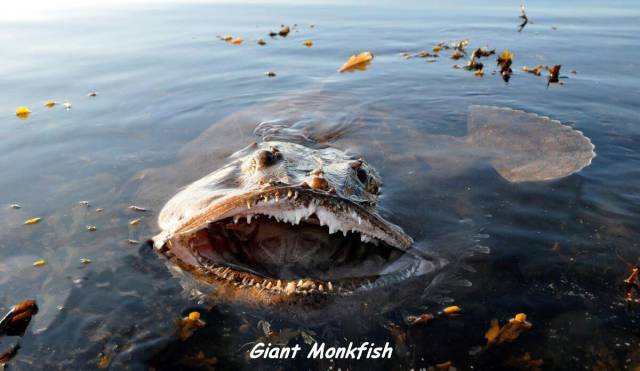 daily picdump 95 pics 9.html - 95 HD Photos | Premium Gallery 2016