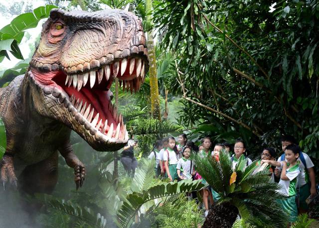 daily picdump 95 pics 9.html - 95 HD Photos | Premium Gallery 2016