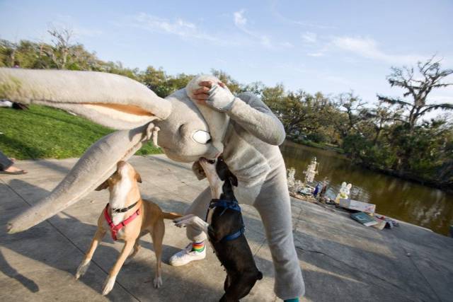 daily picdump 95 pics 9.html - 95 HD Photos | Premium Gallery 2016