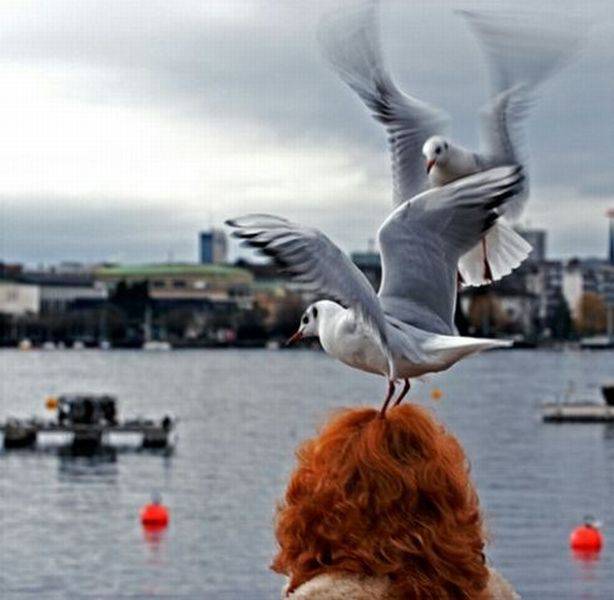 daily picdump 95 pics 9.html - 95 HD Photos | Premium Gallery 2016