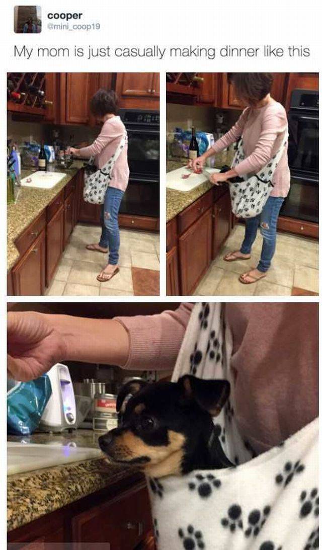 daily picdump 95 pics 9.html - 95 HD Photos | Premium Gallery 2016