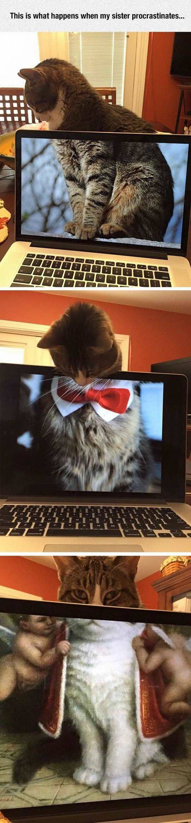 daily picdump 95 pics 9.html - 95 HD Photos | Premium Gallery 2016