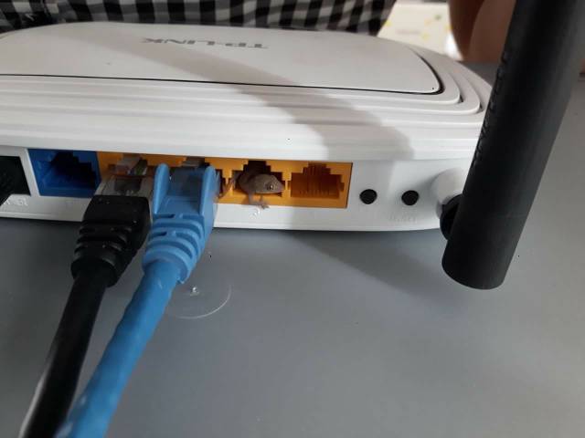 morning picdump 50 pics 8.html - 50 HD Photos | Premium Gallery 2016