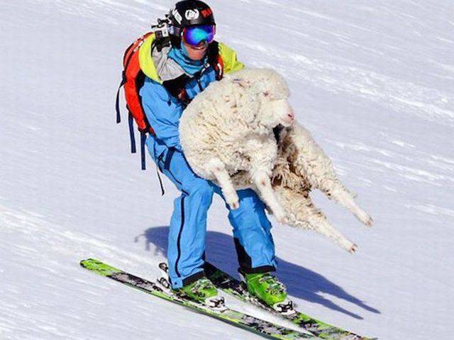 daily picdump 97 pics 9.html - 97 HD Photos | Premium Gallery 2016