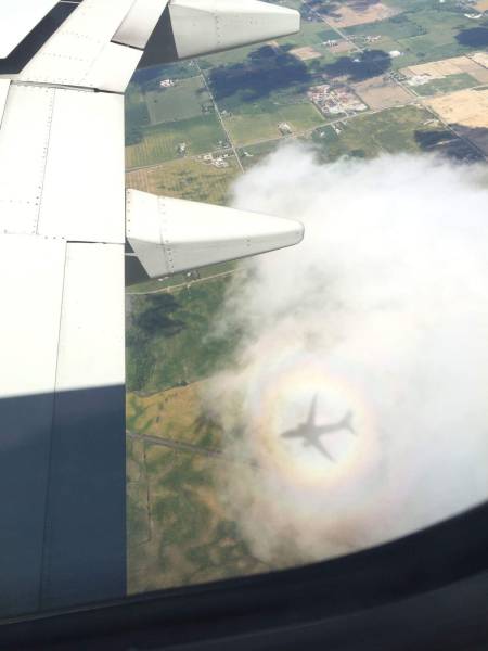 daily picdump 97 pics 9.html - 97 HD Photos | Premium Gallery 2016