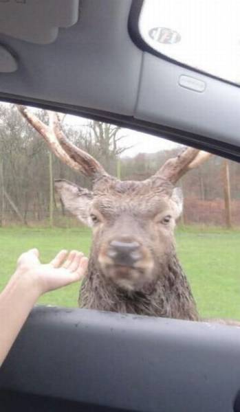 daily picdump 97 pics 9.html - 97 HD Photos | Premium Gallery 2016