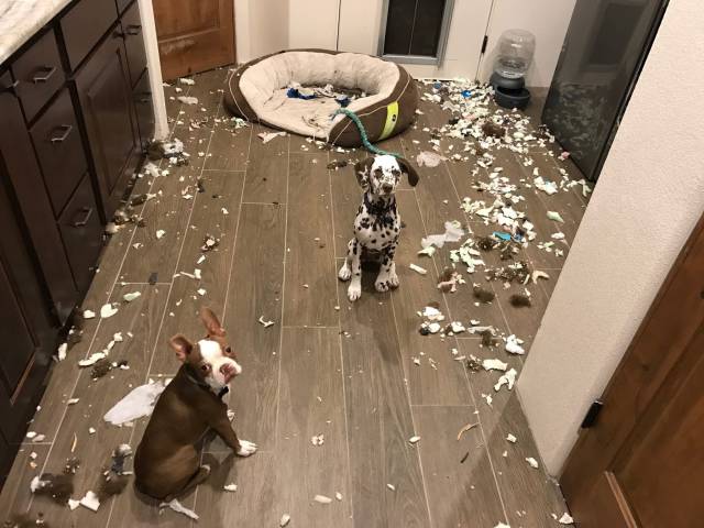 daily picdump 97 pics 9.html - 97 HD Photos | Premium Gallery 2016