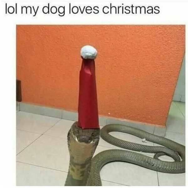 daily picdump 97 pics 9.html - 97 HD Photos | Premium Gallery 2016