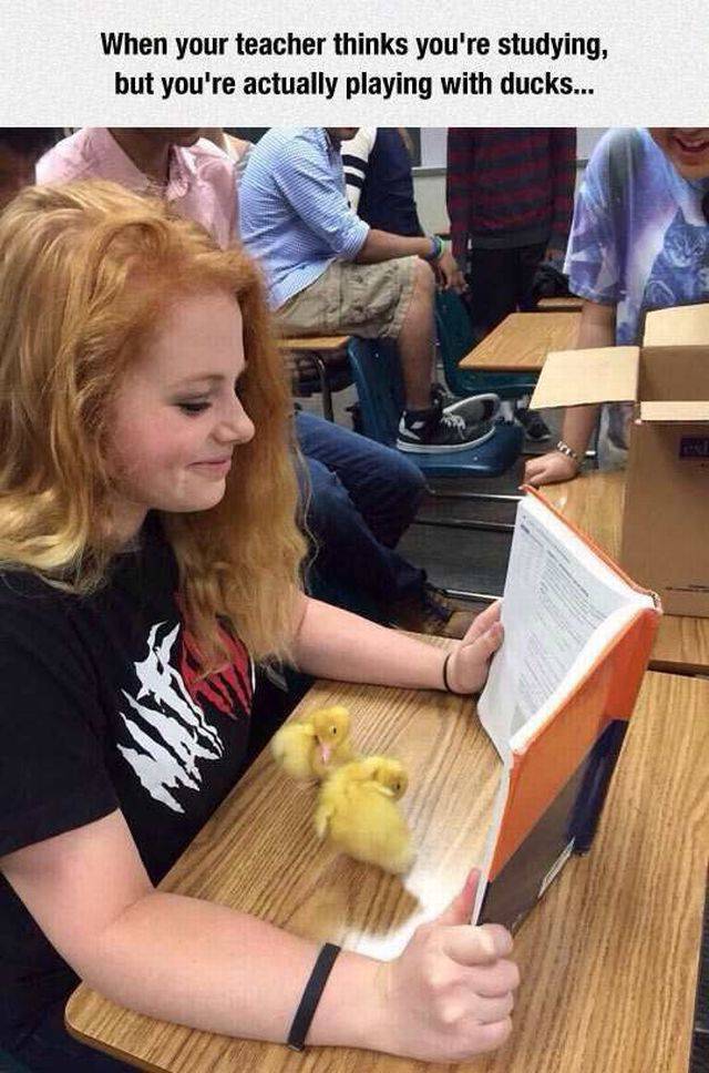 daily picdump 97 pics 9.html - 97 HD Photos | Premium Gallery 2016