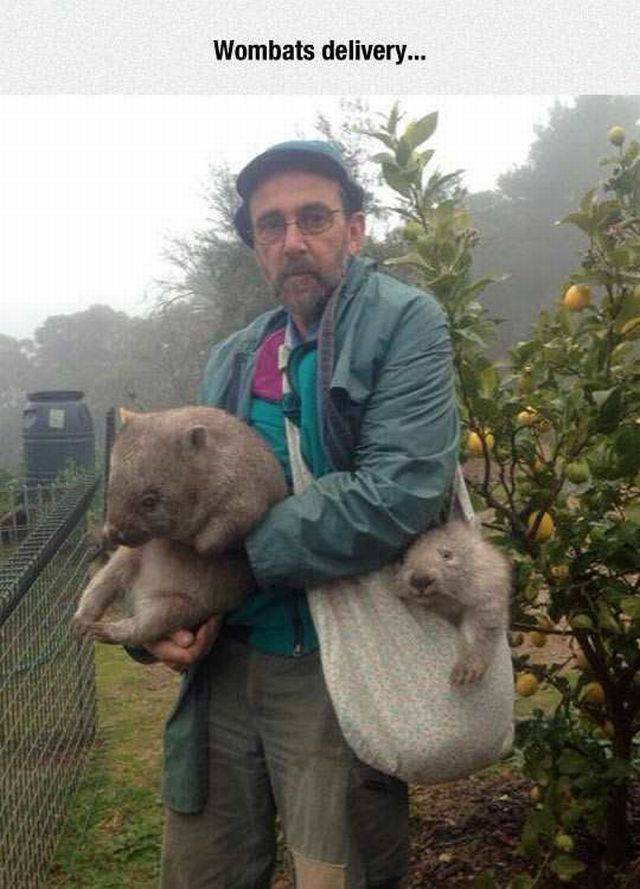 daily picdump 97 pics 9.html - 97 HD Photos | Premium Gallery 2016