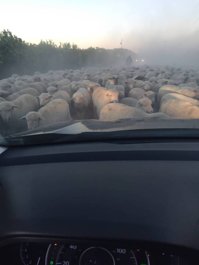 morning picdump 51 pics 9.html - 51 HD Photos | Premium Gallery 2016