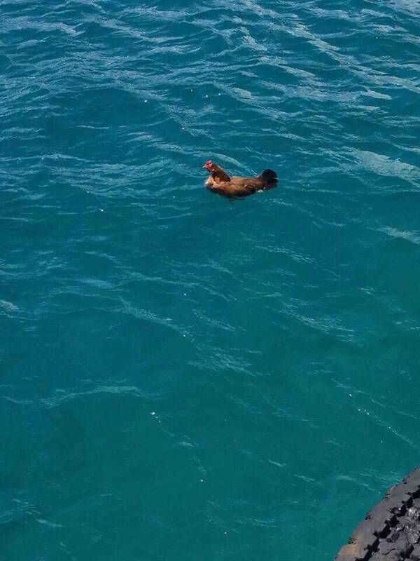 morning picdump 51 pics 9.html - 51 HD Photos | Premium Gallery 2016